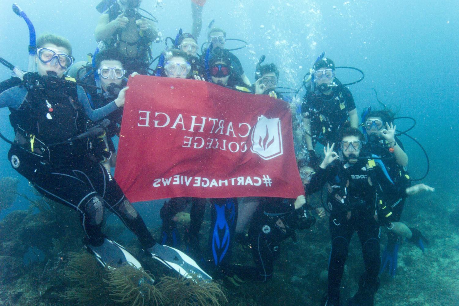 学生们手持<a href='http://ltsz.ngskmc-eis.net'>博彩网址大全</a>旗帜，在j学期洪都拉斯游学之旅中潜水.